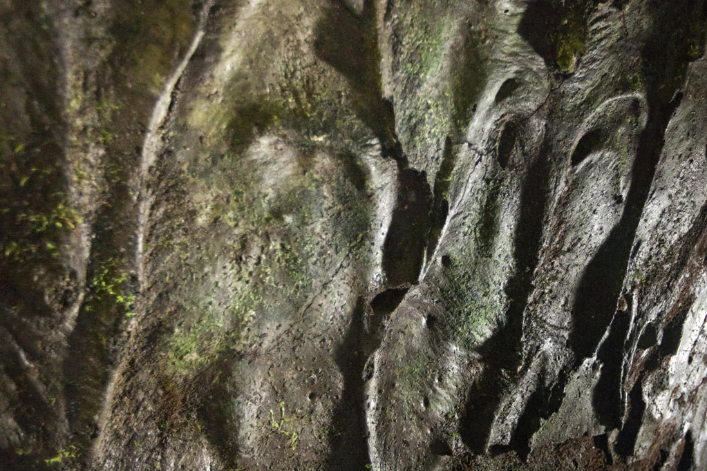 Algar do Carvao Volcano