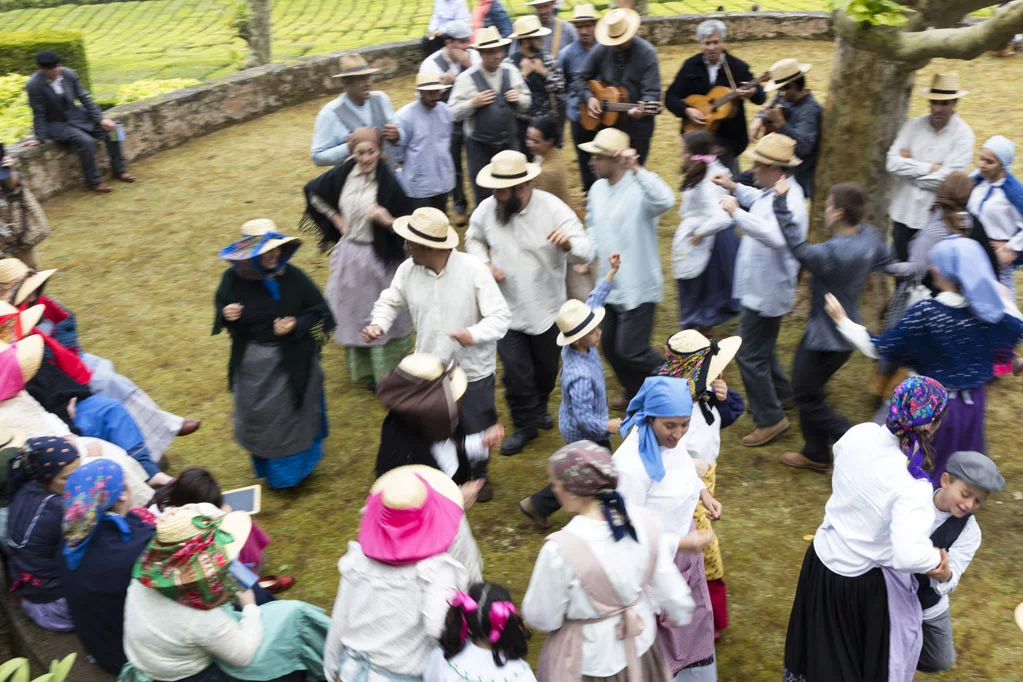 Workers in the Porto Formoso Tea Plantation