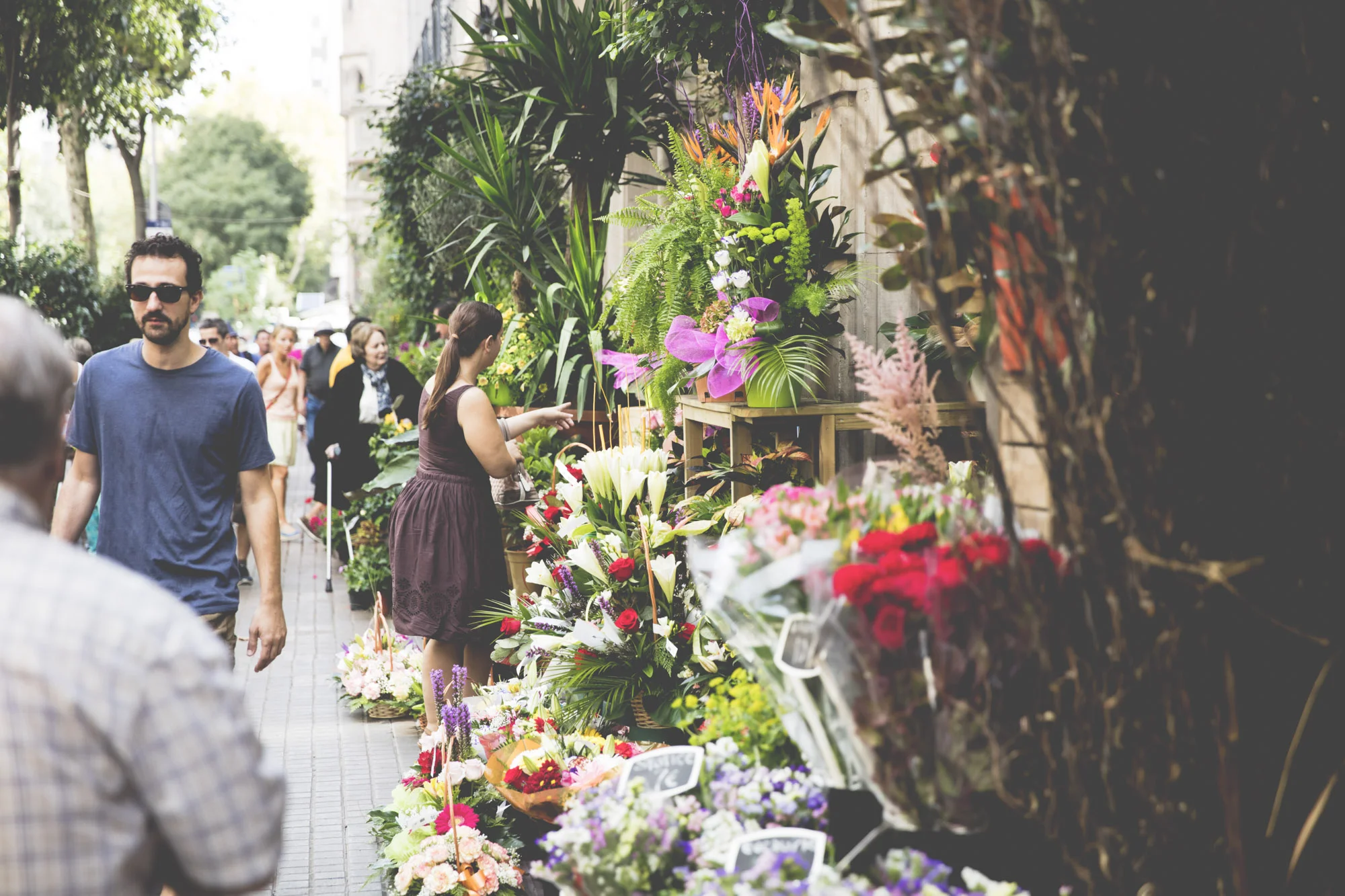 Street in the Spanish City of Barcelona