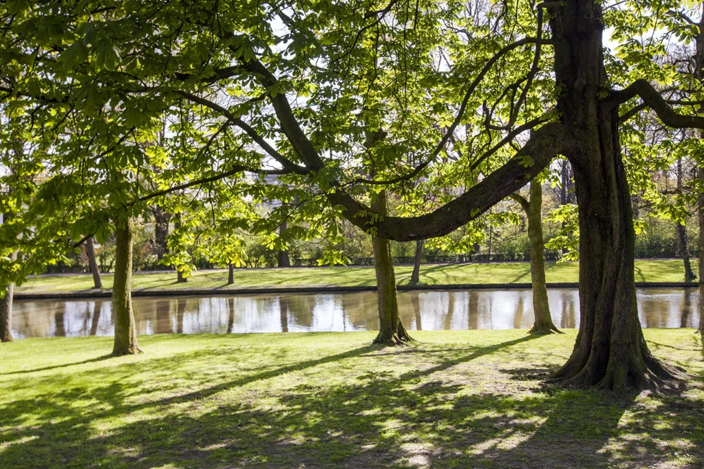 Minnewater Lake