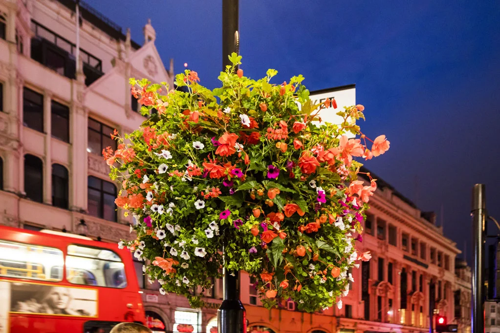 Piccadilly Circus