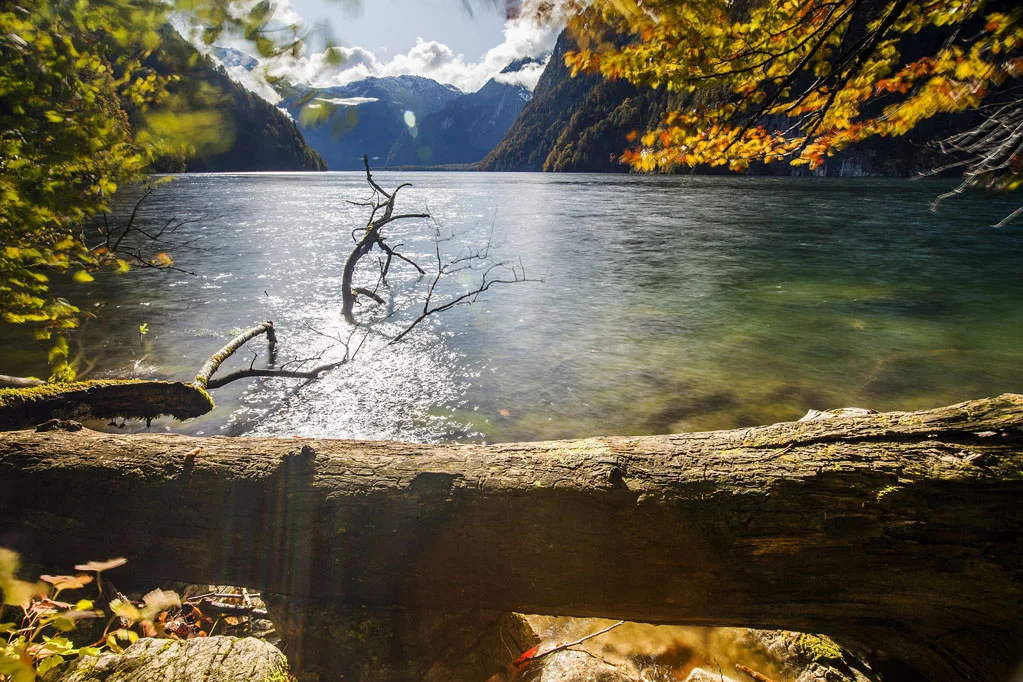 Konigssee