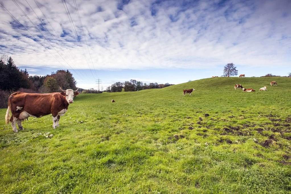 Landscape of Bavaria
