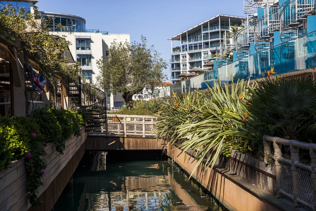Ocean Village Marina