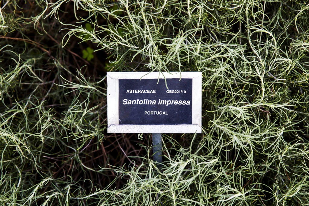 Gibraltar Botanic Gardens