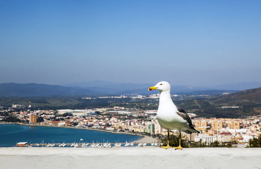 Gibraltar
