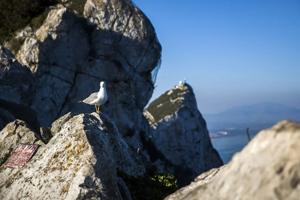 Gibraltar