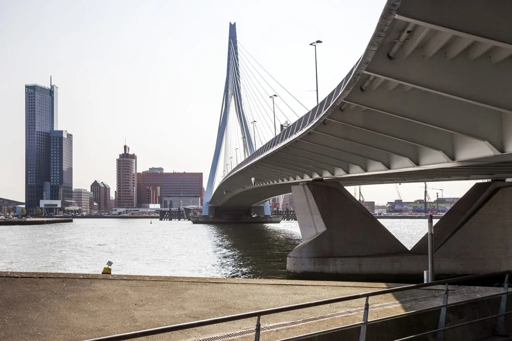 Erasmus Bridge