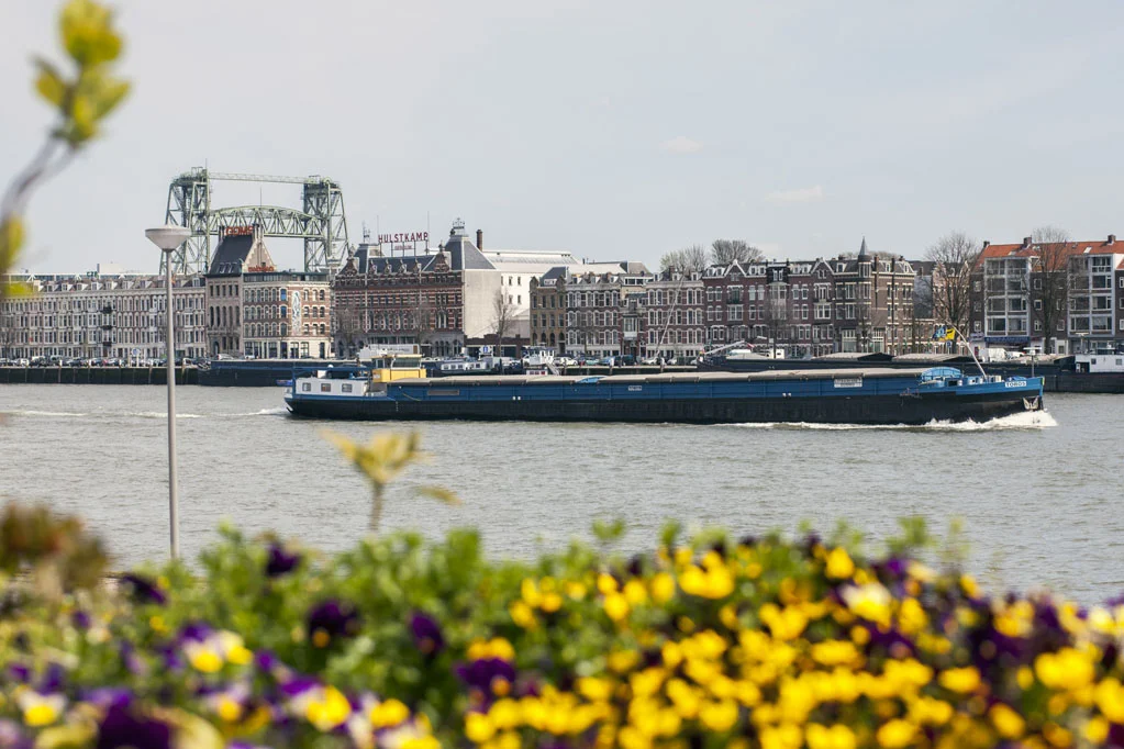 Rotterdam