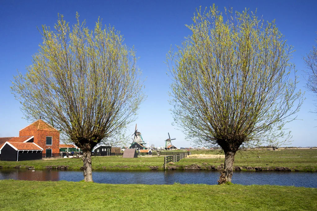 Zaanse Schans