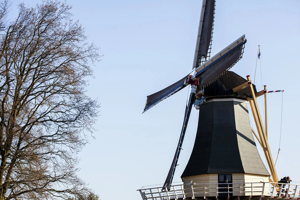 Windmill