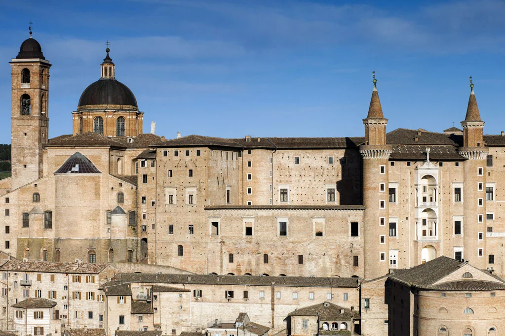 Urbino
