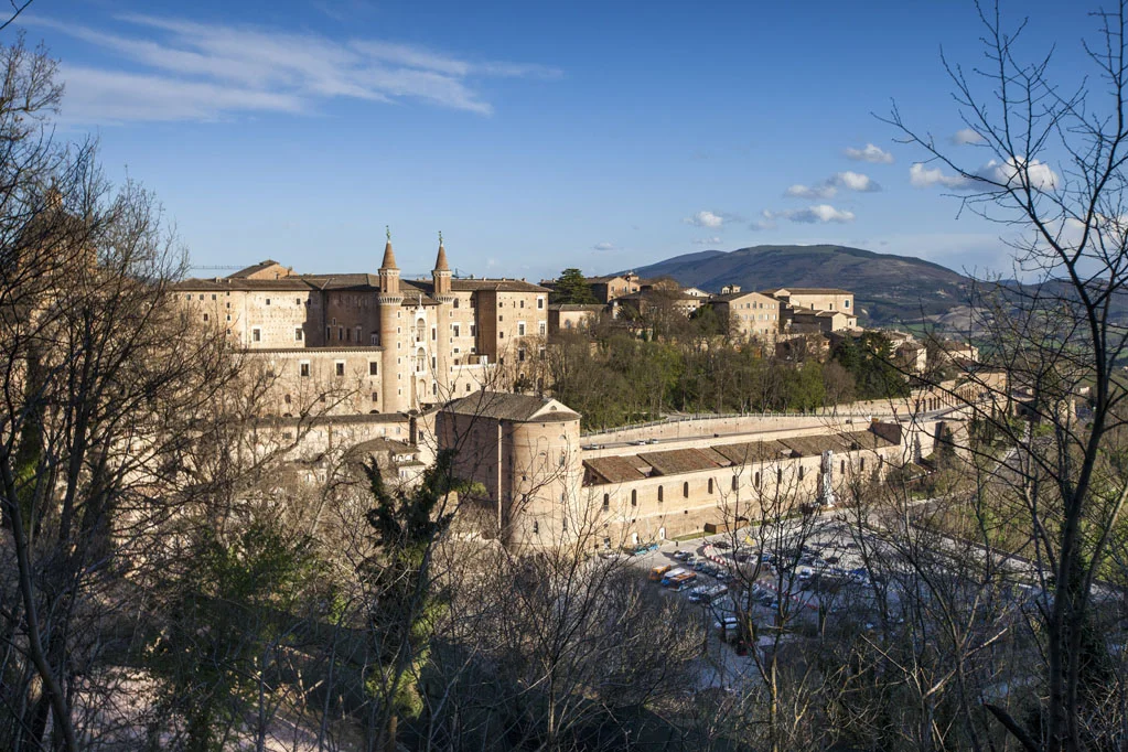 Urbino