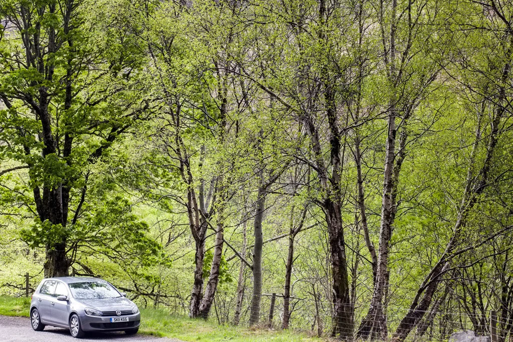 Car in Highland