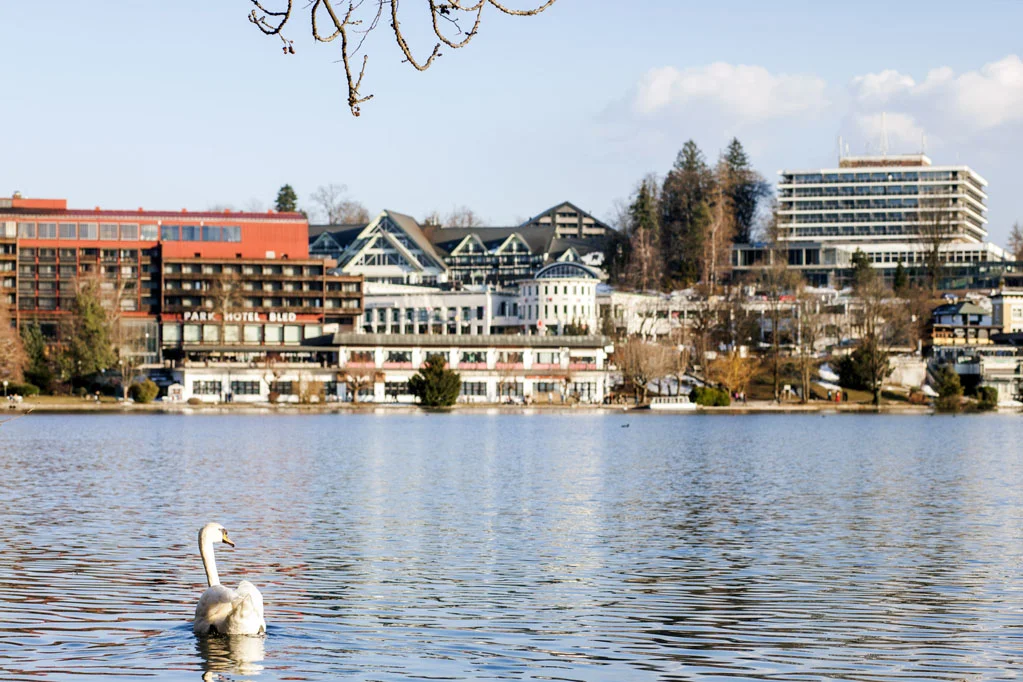 Bled