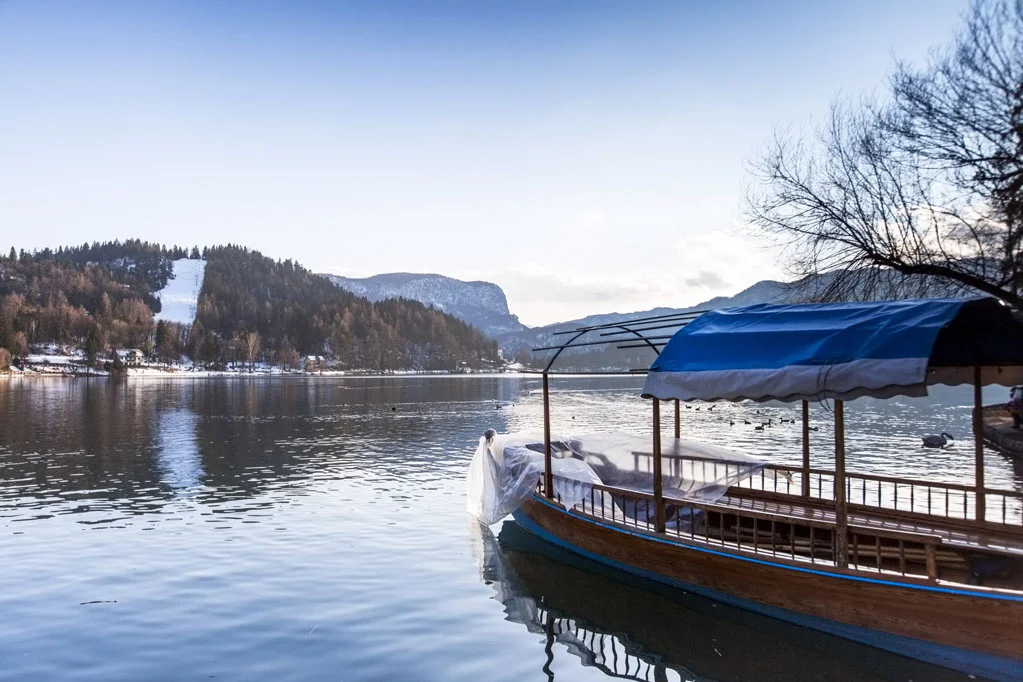 Bled