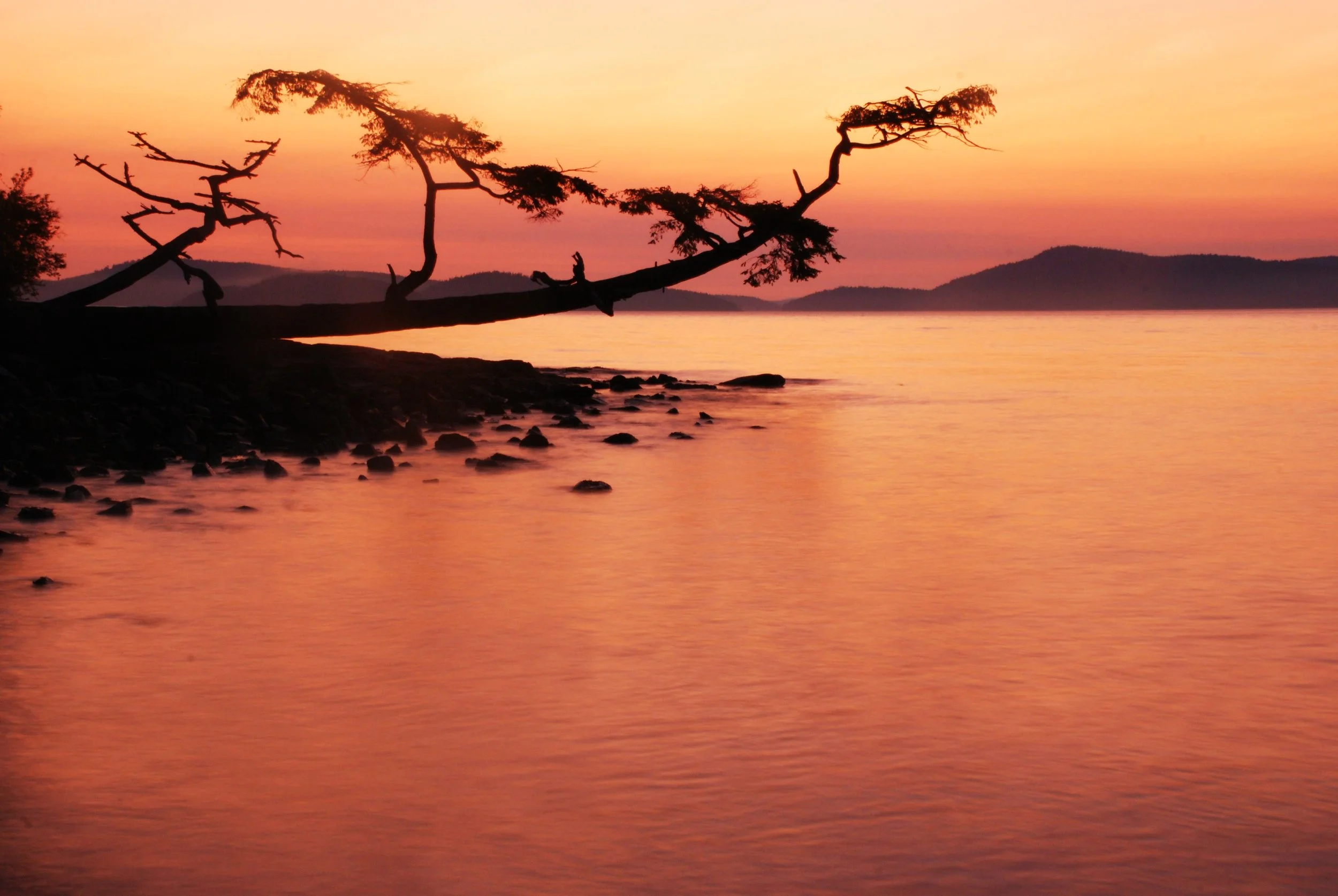 Whidbey Island 1770.JPG