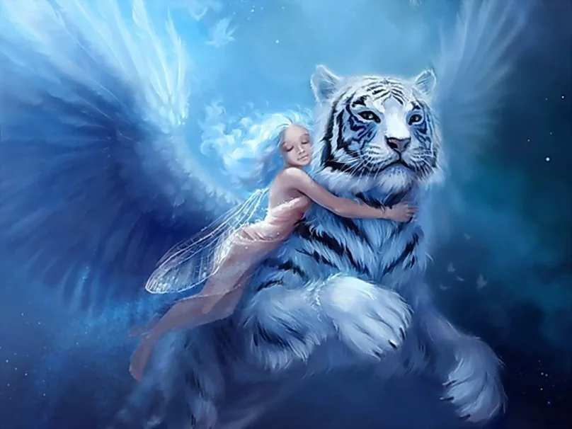 Dreaming of Tigers and Faeries