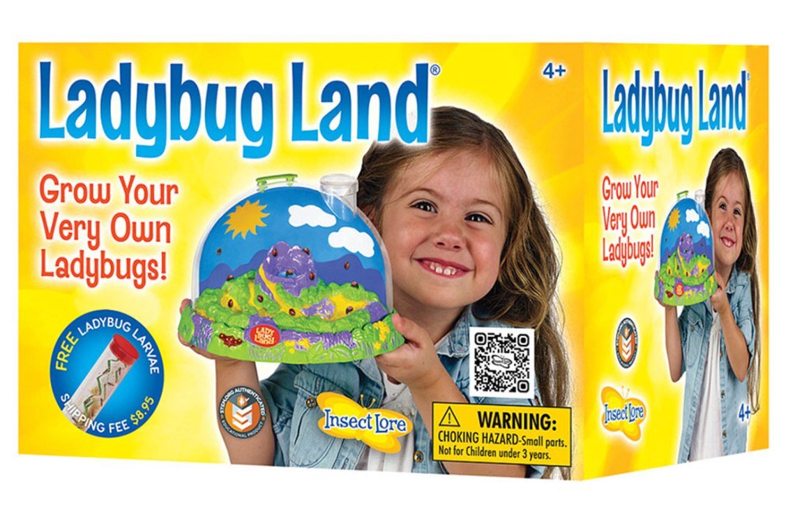 Who remembers their first Ladybug Land?

@henrybearspark has them in stock!