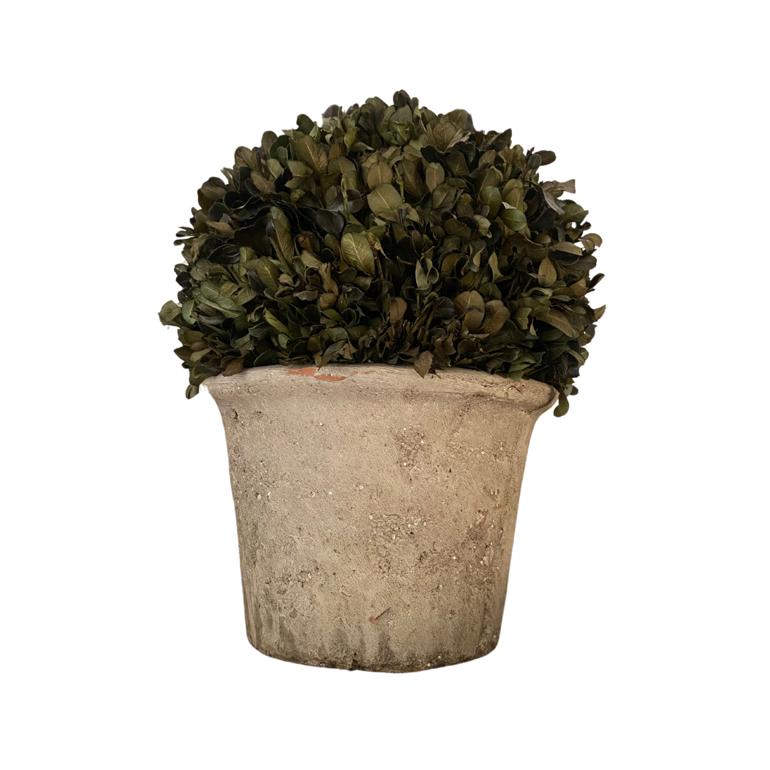 1E99A634-B1CE-4046-8796-AB7326CCF968.png