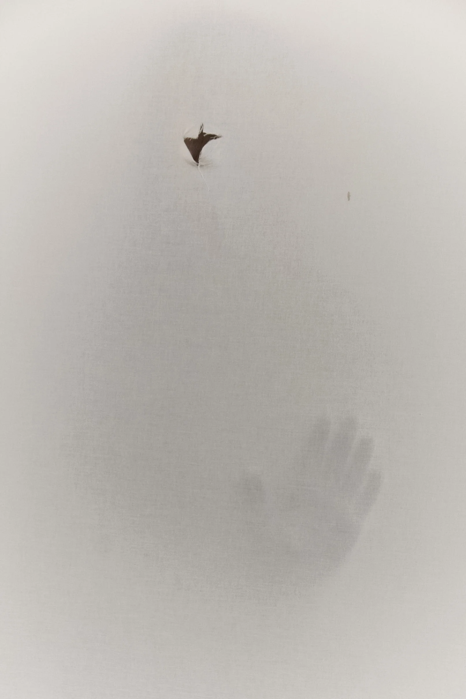 Performance art, Anna Julia Amaral | Berlin, Germany