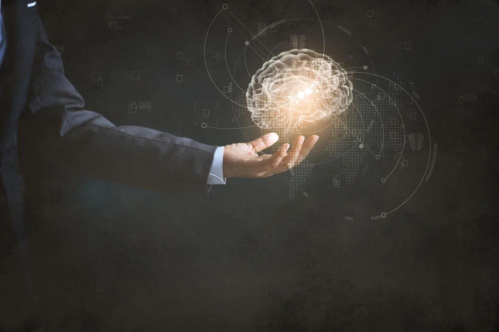 5 Steps to Apply the Law of Attraction to Everyday Life