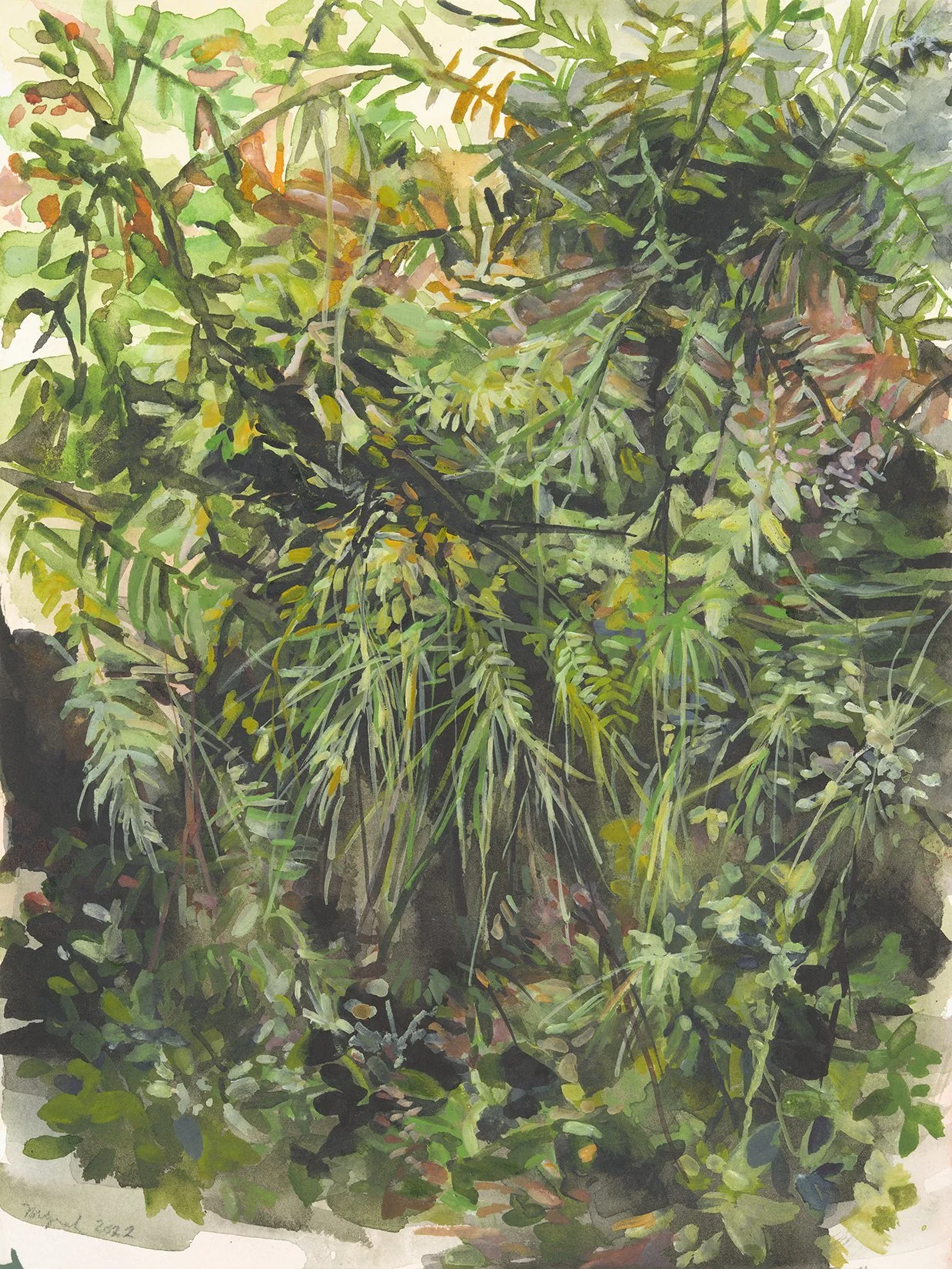 Understory