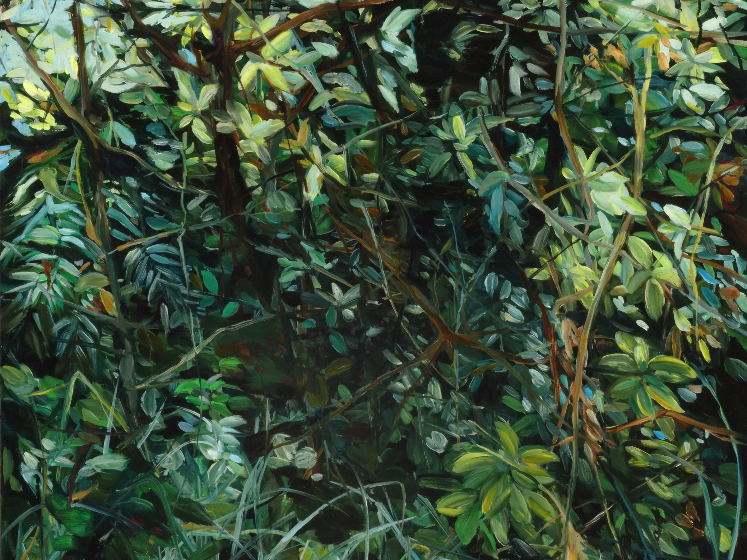 13. A passage to a clearing.jpg