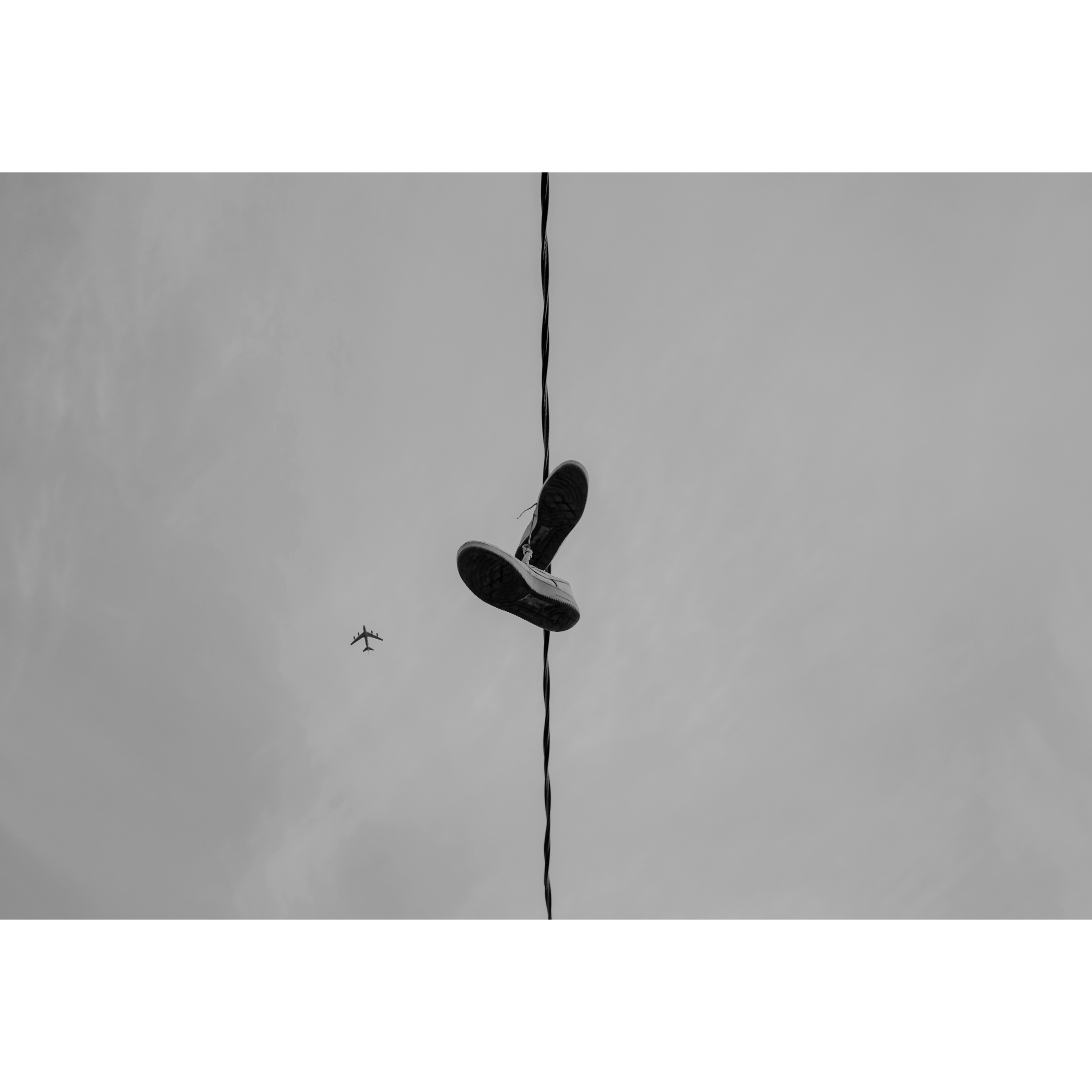 Flight - 13x19 inches