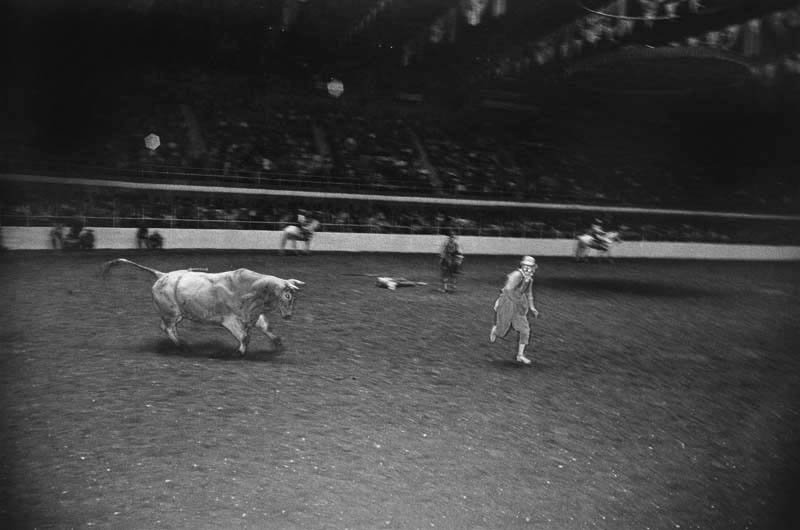 rodeo.jpeg