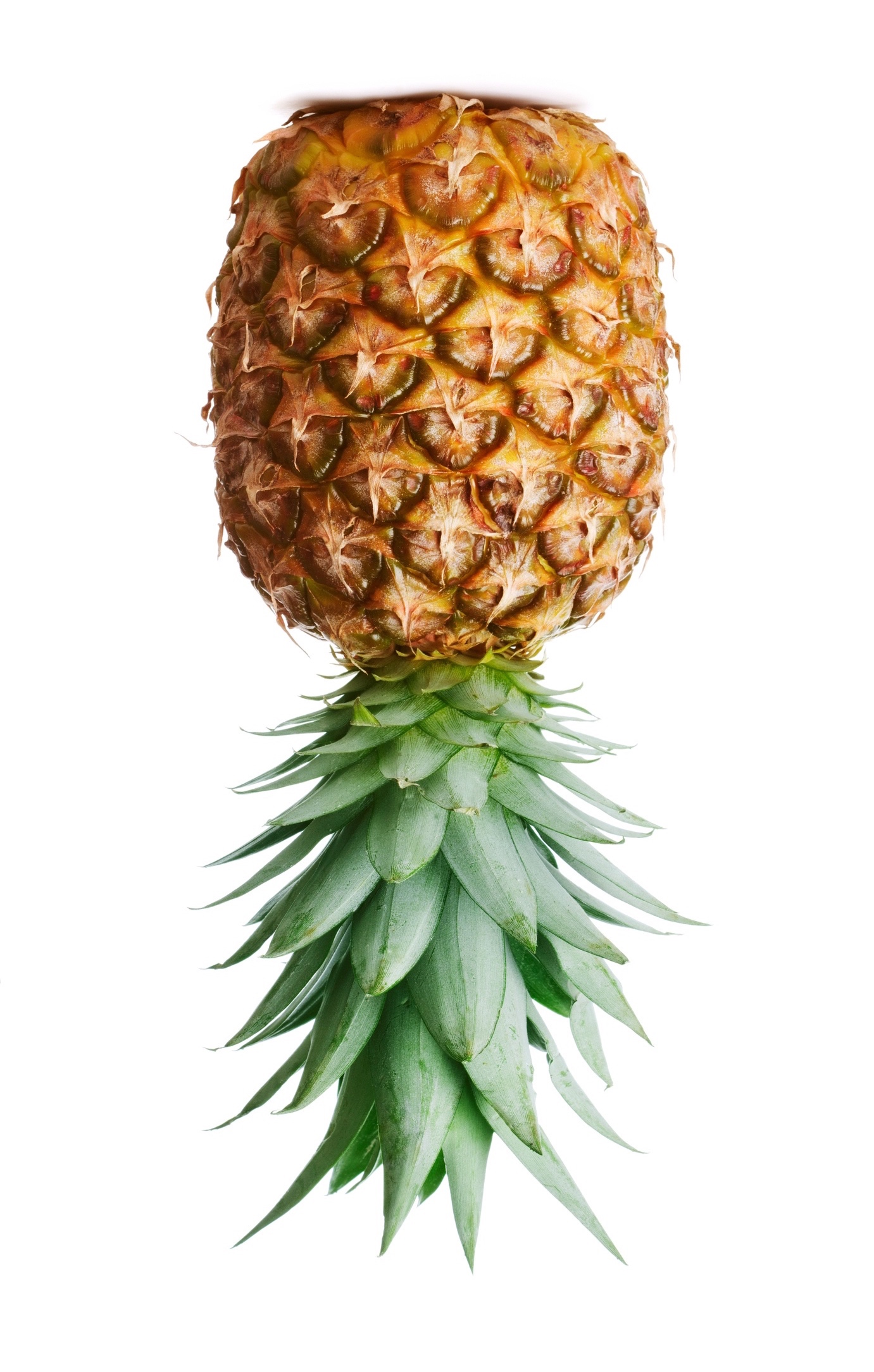iStock-185263471.jpg