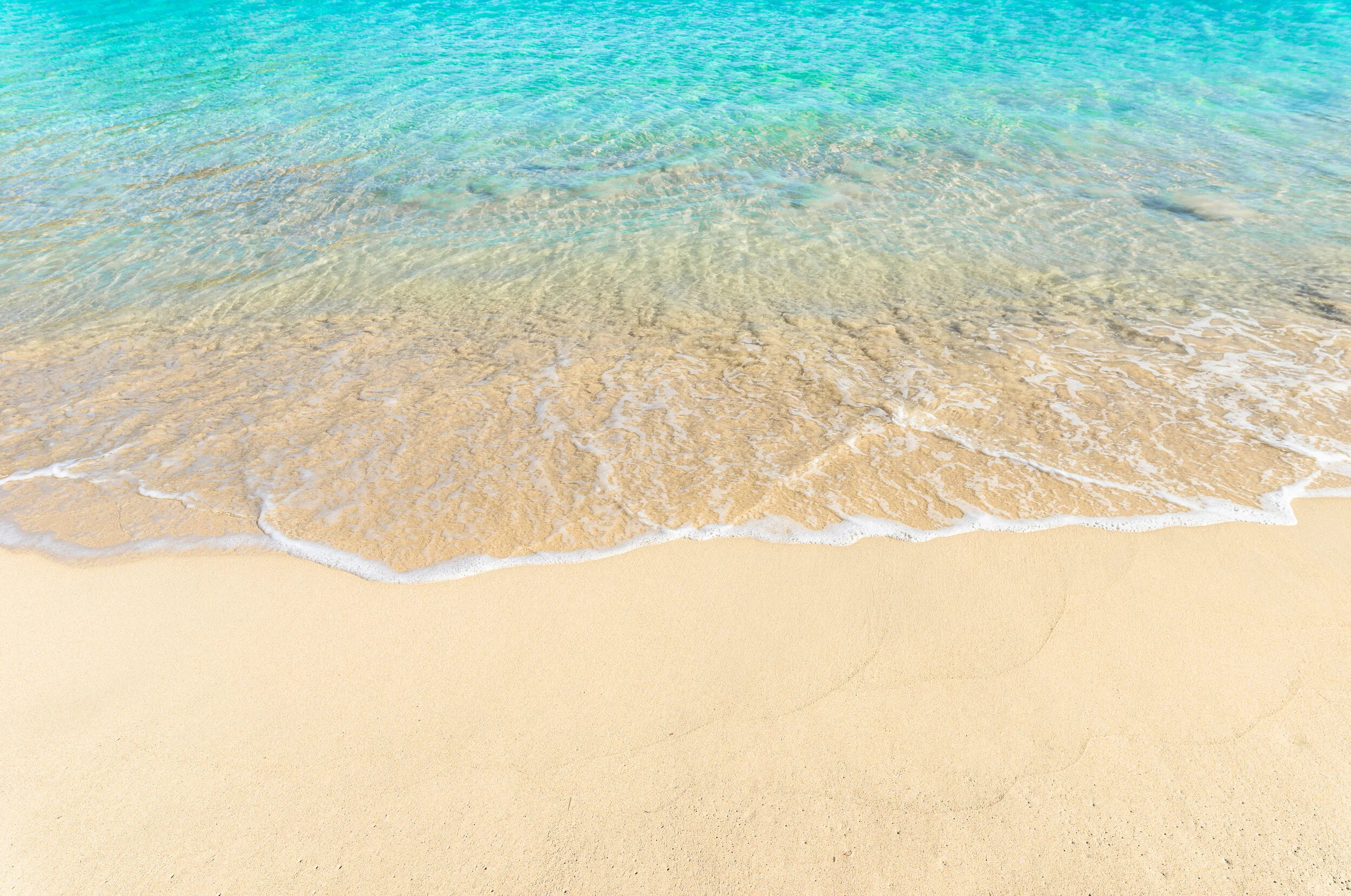 iStock-960791902.jpg