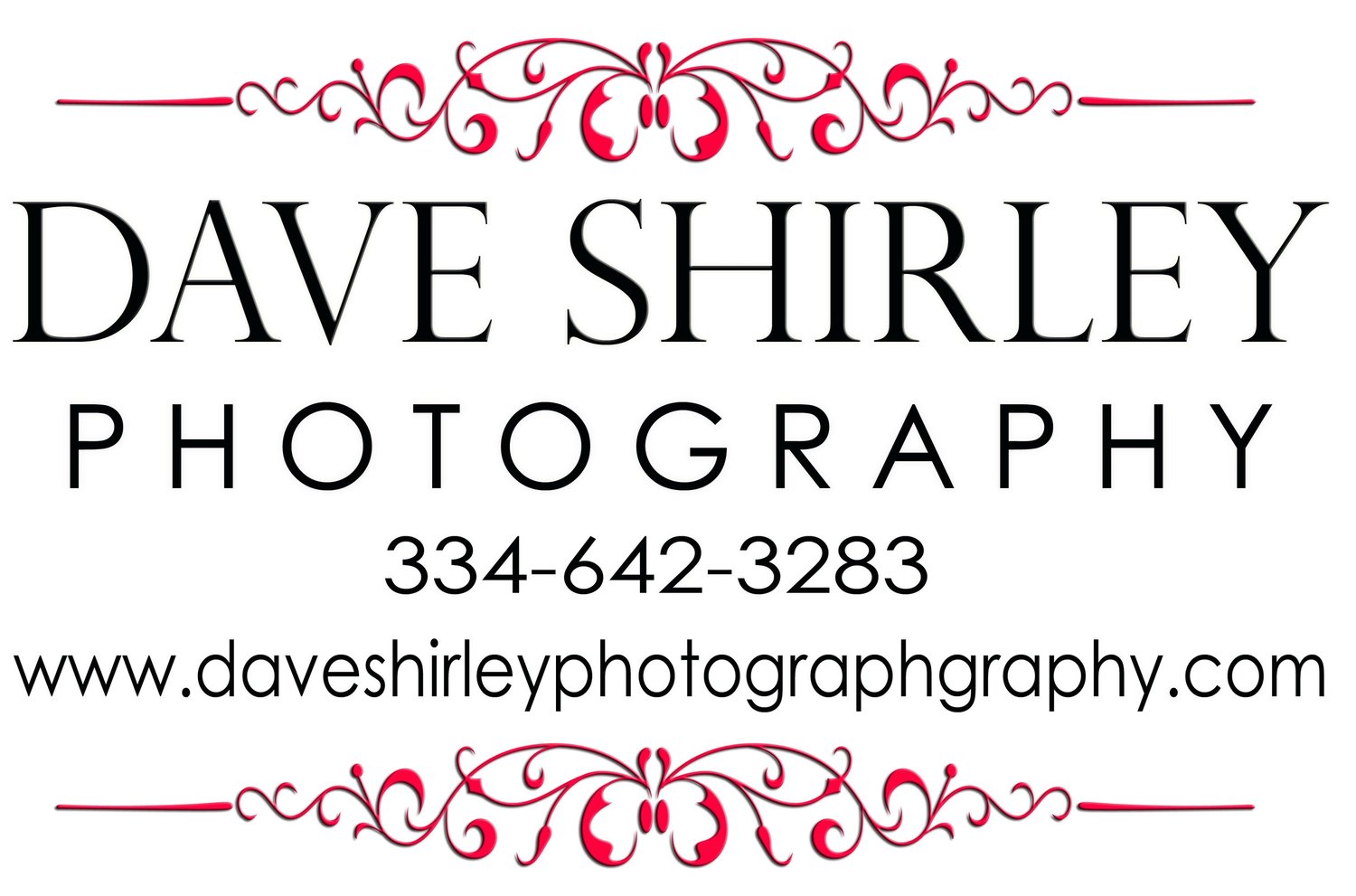 Dave Shirley Photography 