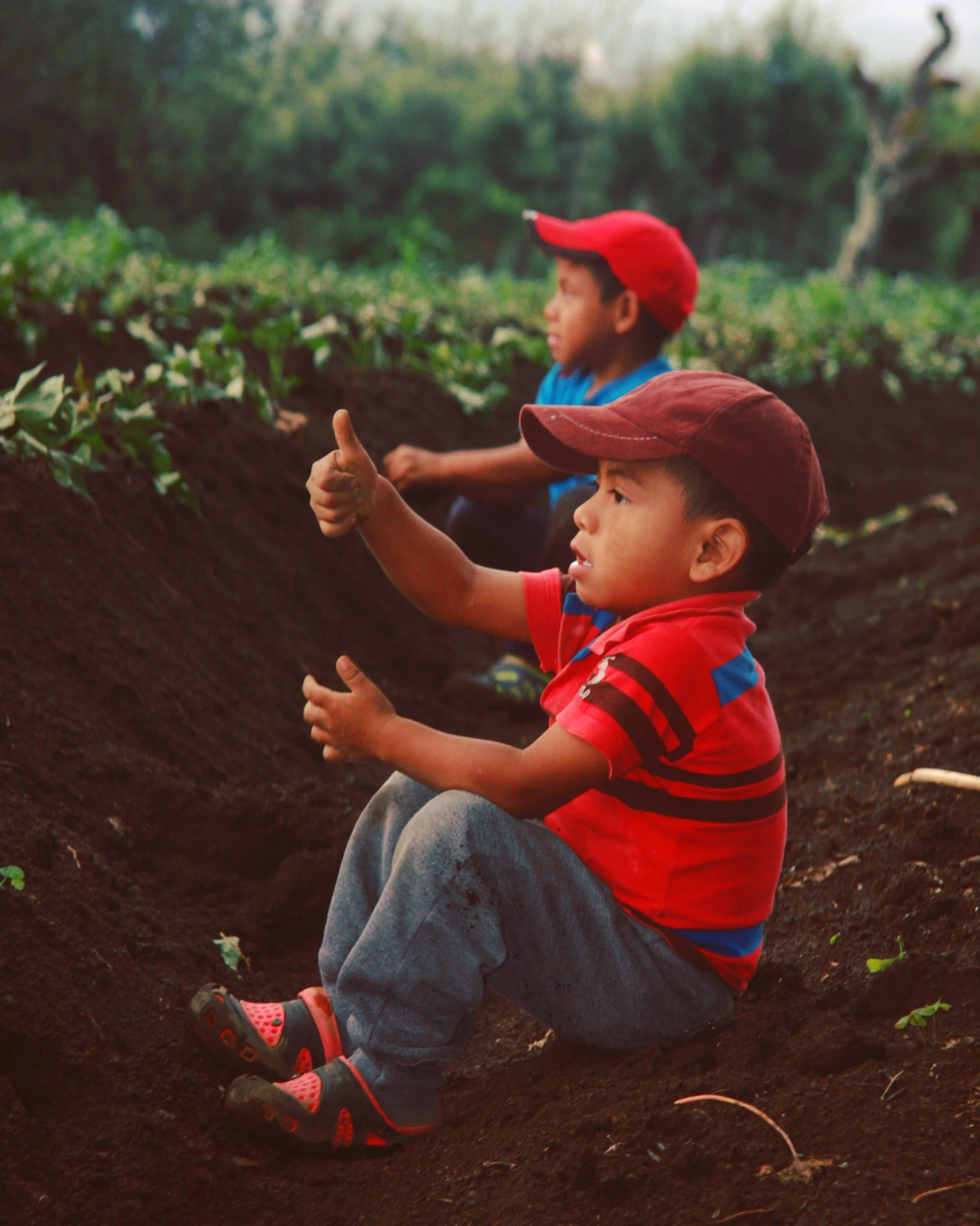  Cute local boys playing in the field. 