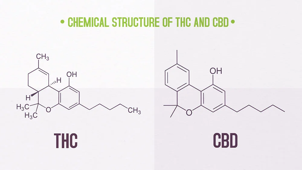 thc-and-cbd-chemical-structure.jpg