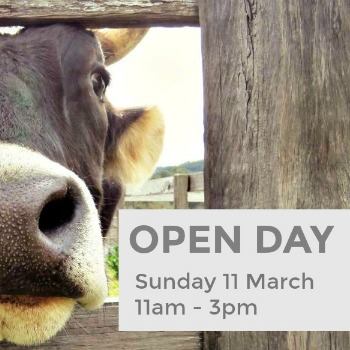 WHERE PIGS FLY FARM SANCTUARY - 11th MARCH 2018