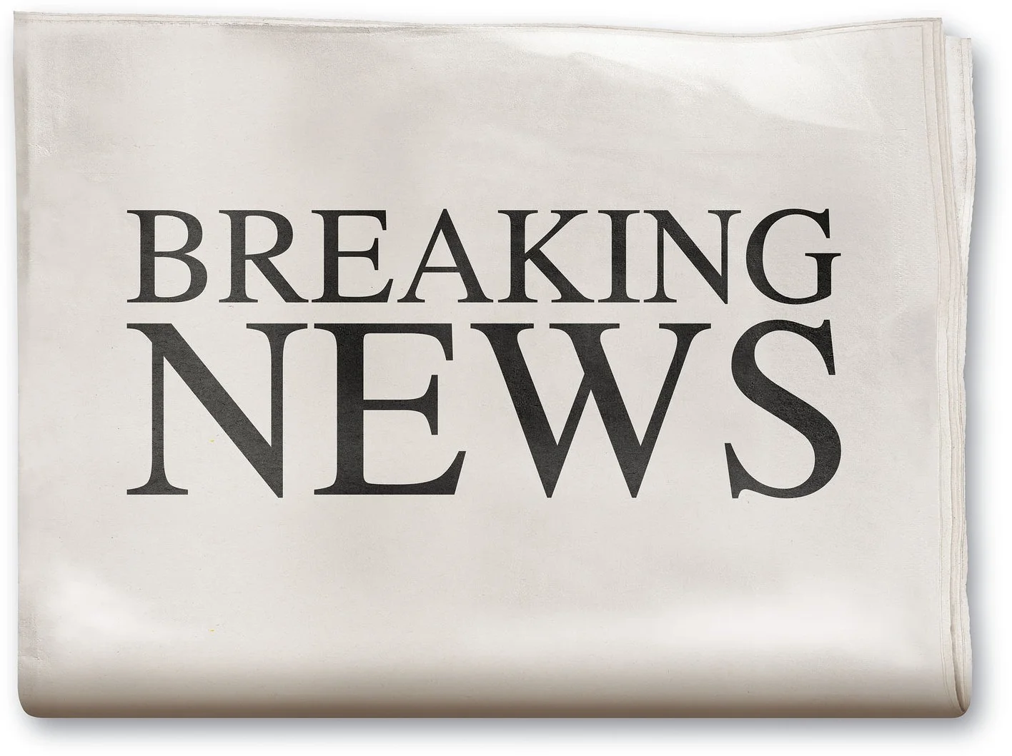 NichiGo Press Newspaper Article