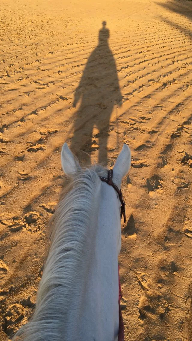 Surround Yourself with Happiness