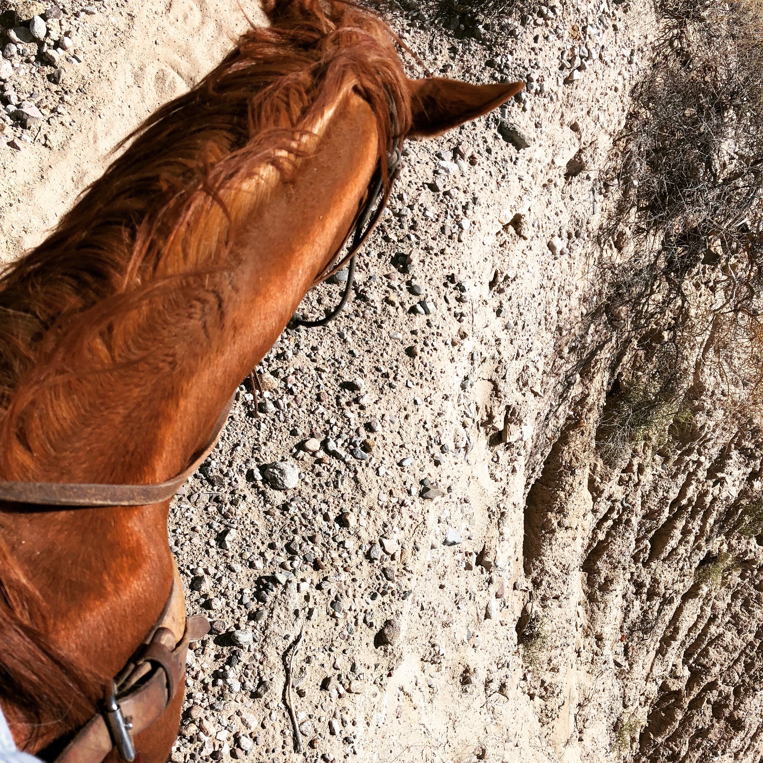 How To Deal With Criticism  