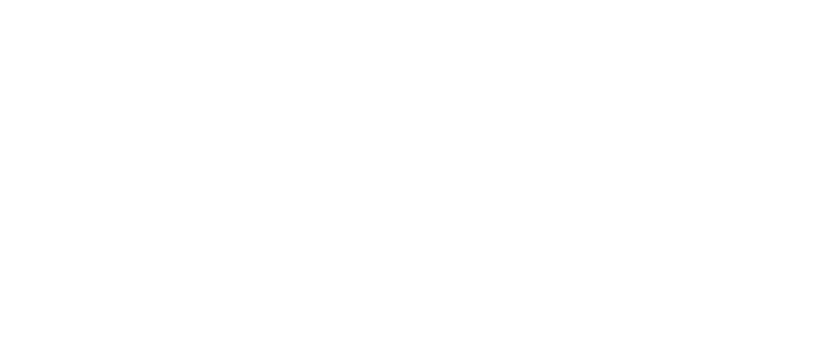 bags2.png