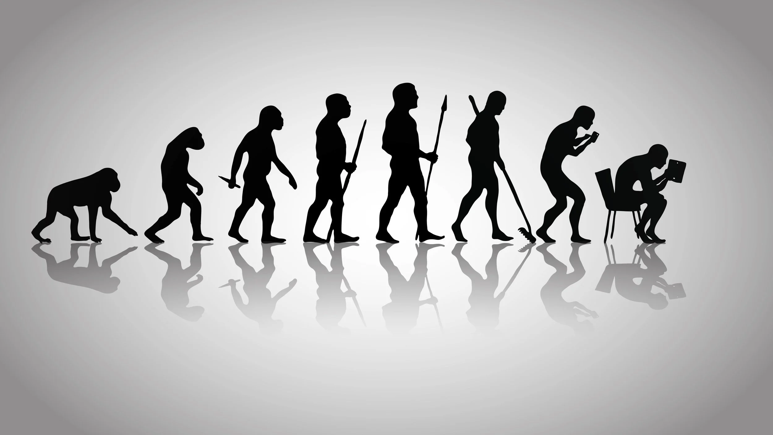 AN EVOLUTIONARY MESS