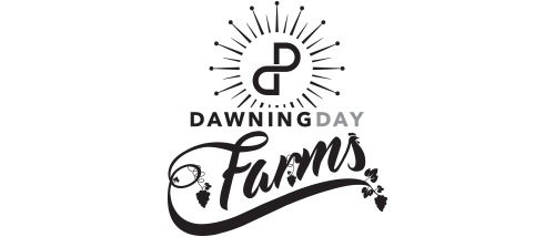 logo.png