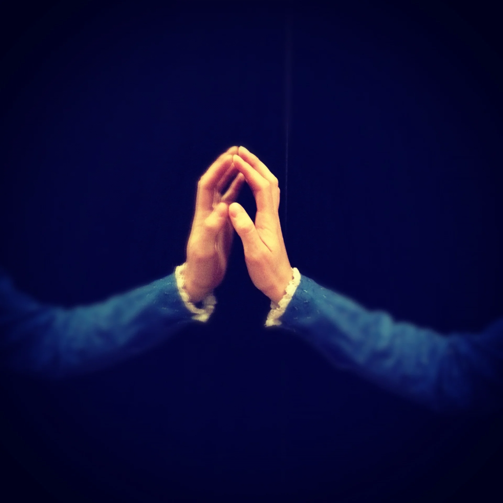  Image credit: Polly Sara 