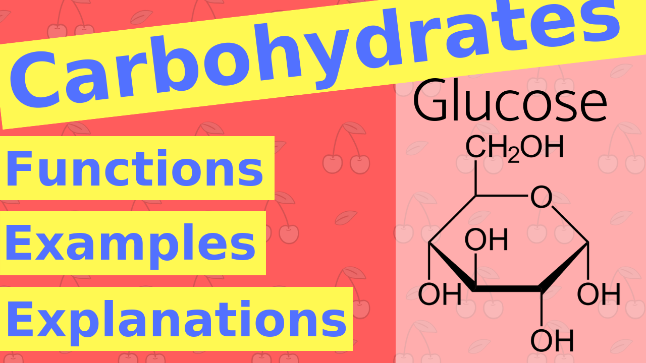 What are Carbohydrates?