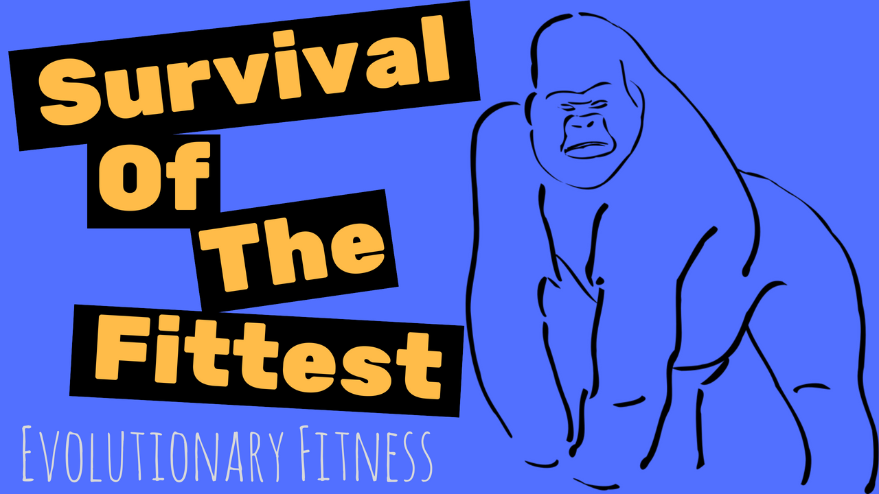 Evolutionary Fitness