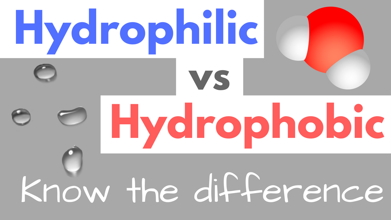 Hydrophilic vs Hydrophobis