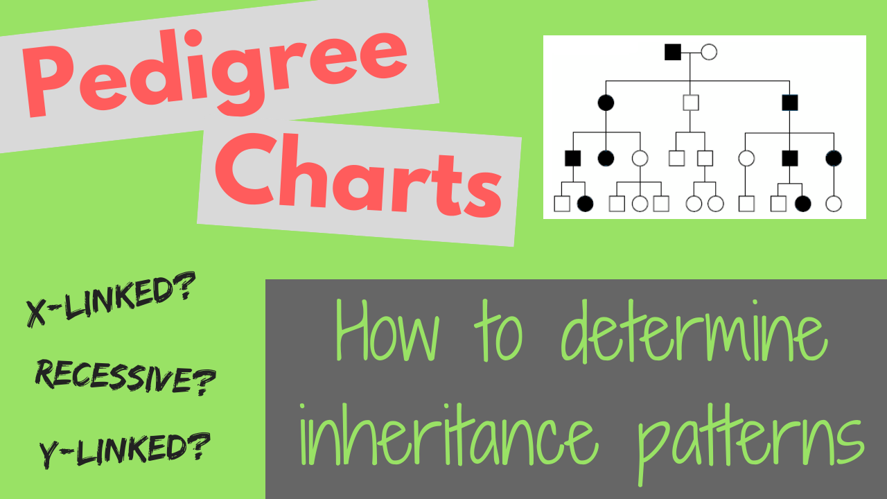 How to Read Pedigree Charts