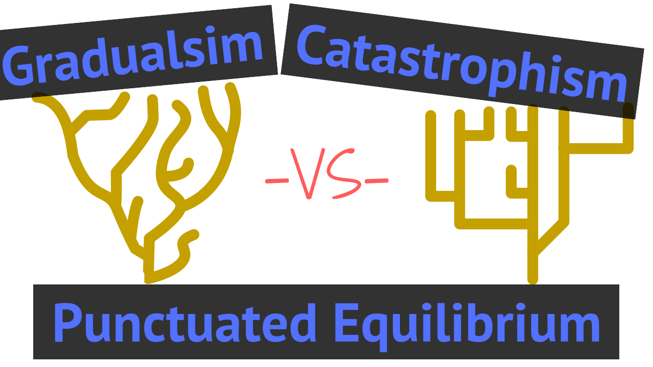 Gradualism vs Punctuated Equilibrium vs Catastrophism 