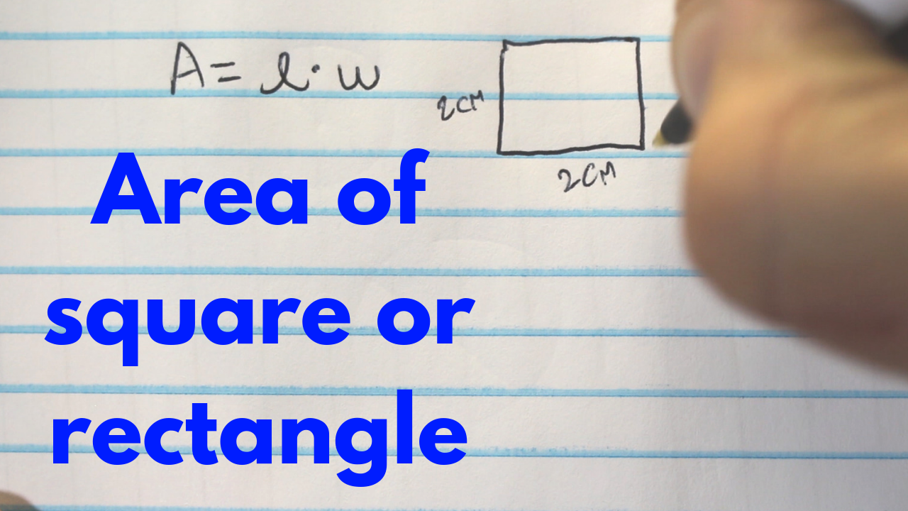 How to Find the Area of a Square or Rectangle