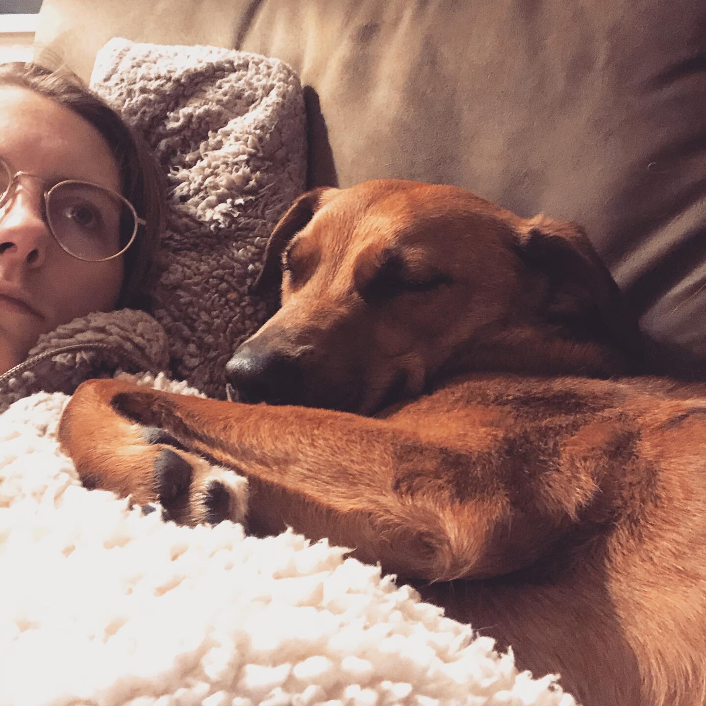 Moms make Mondays better
.
.
.
.
.
.
.
.
#thedailyolly #mondays #dogsofinstagram #muttsofinstagram #rescuedog #dcdogs #dcdogmom #mutt #cute #adoptdontshop #puppy #ilovemydog